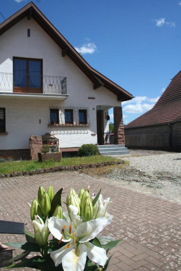La Maison De Tania Neuve-Eglise Exterior photo